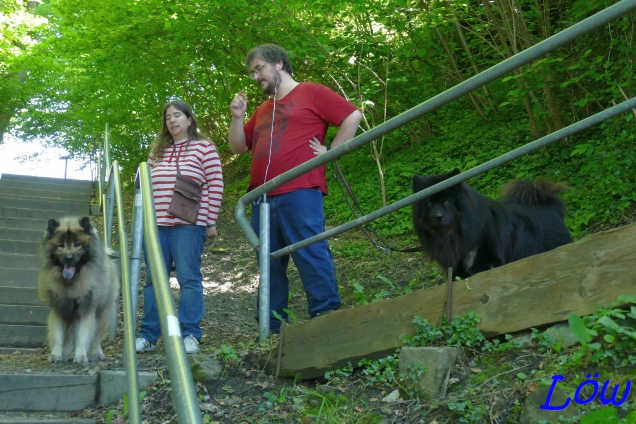 19.5.2024 Rauf auf den Schlossberg